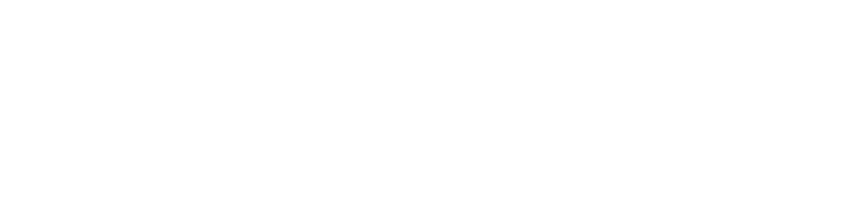 e-AMERICA logo